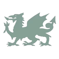 green dragon icon